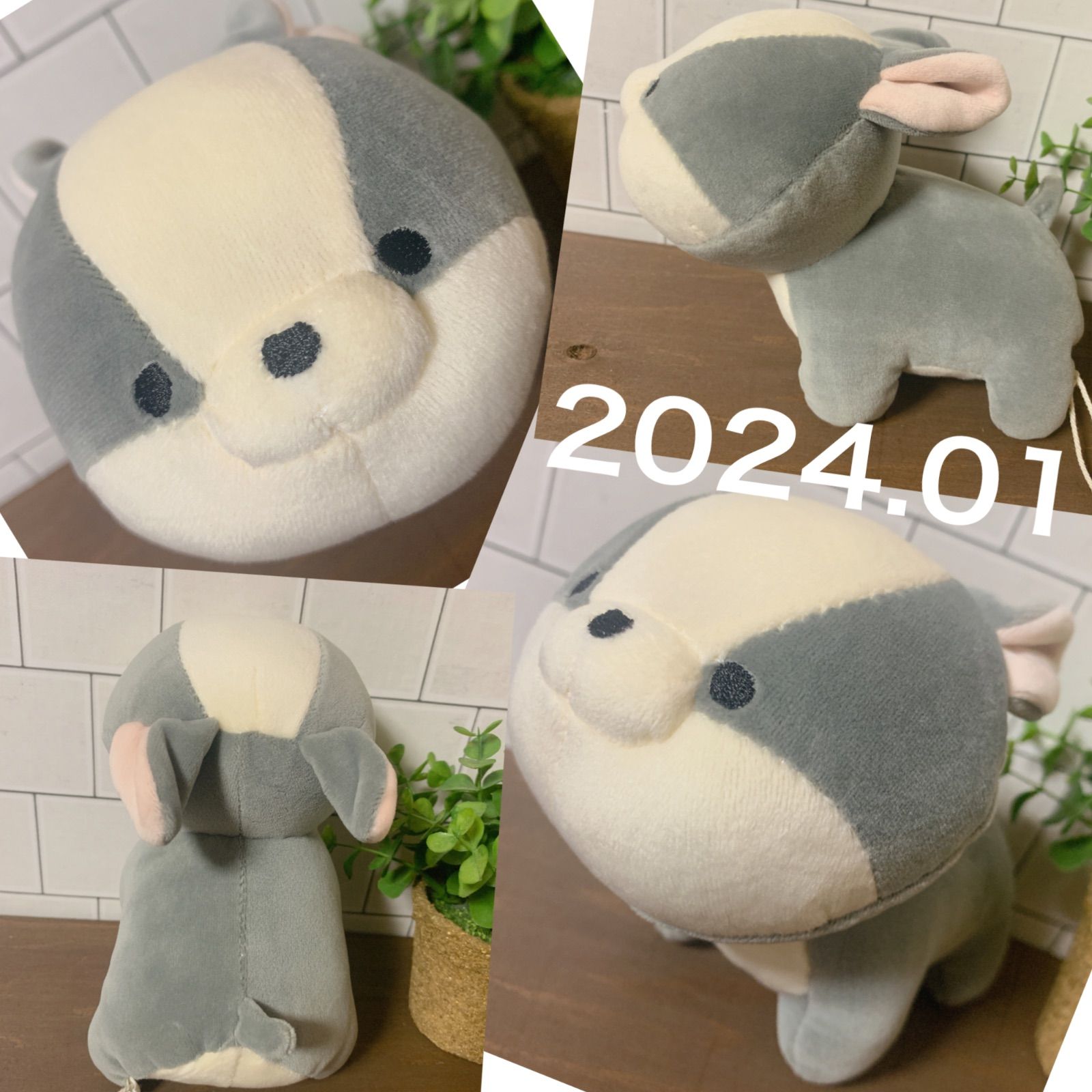 もふもフレンズ　犬　ぬいぐるみ　テノリマスコット　モフモフレンズ　ブルーブルーエ モフモフレンズテノリマスコット | Bleu Bleuet（ブルーブルーエ）公式通販