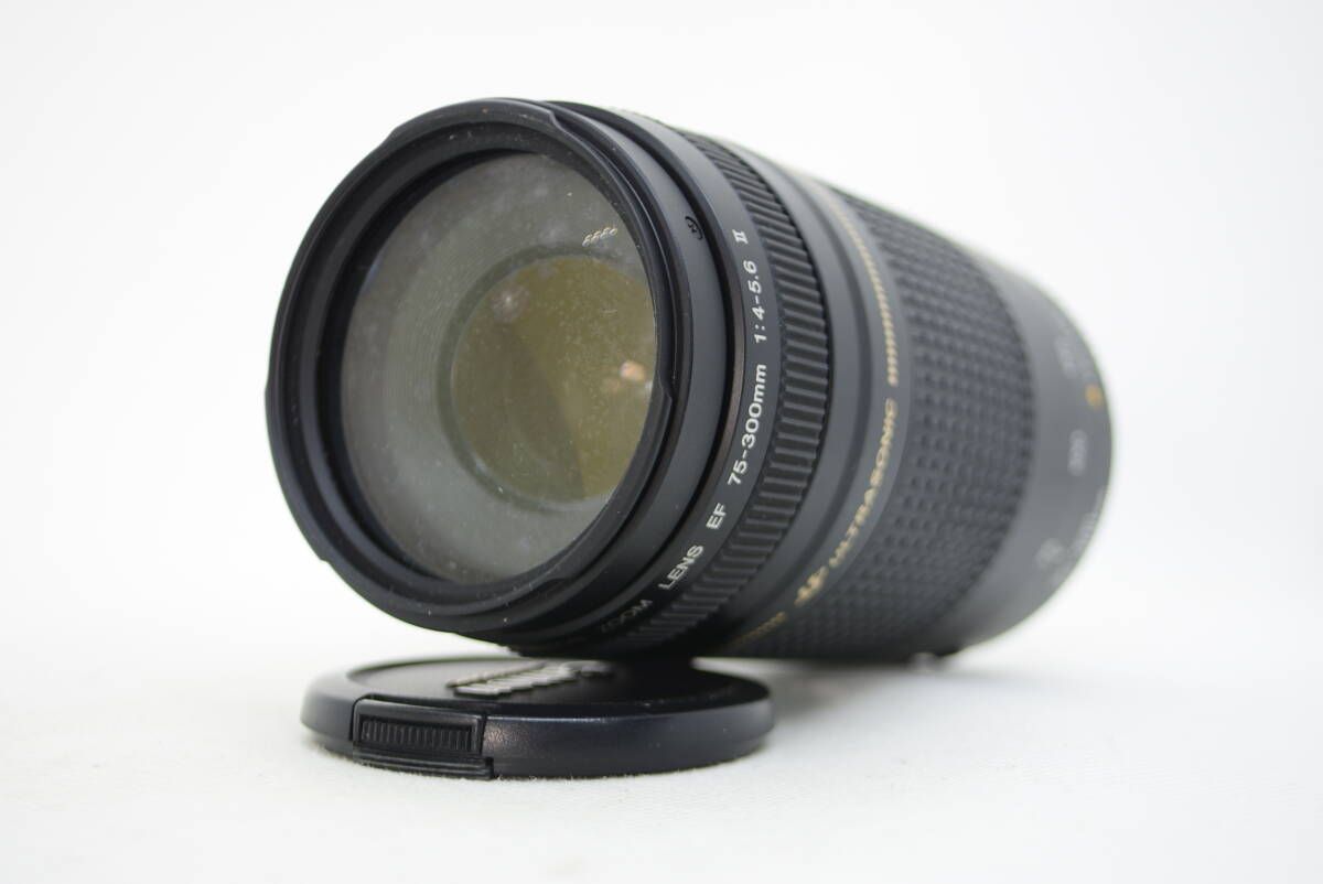 Canon キャノン EF 75-300mm F4-5.6 II USM