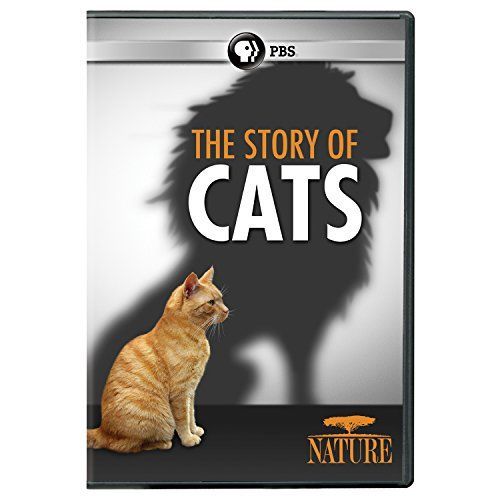 Nature: The Story of Cats [DVD] [Import] 【公式通販】