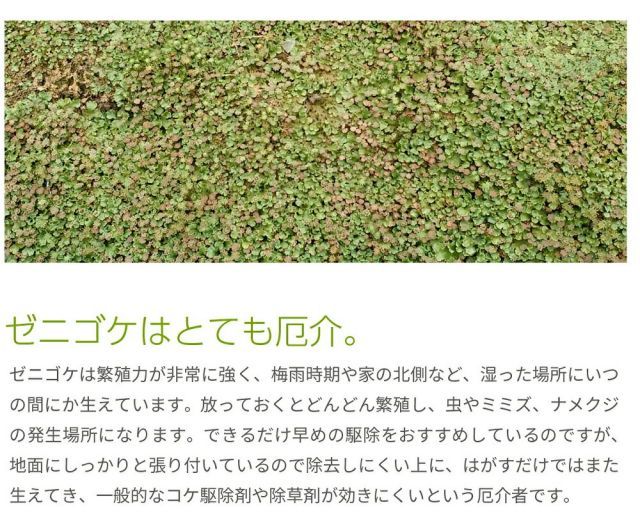～食物原料で安全
