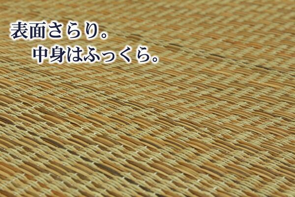 〔リビング ダイニング〕