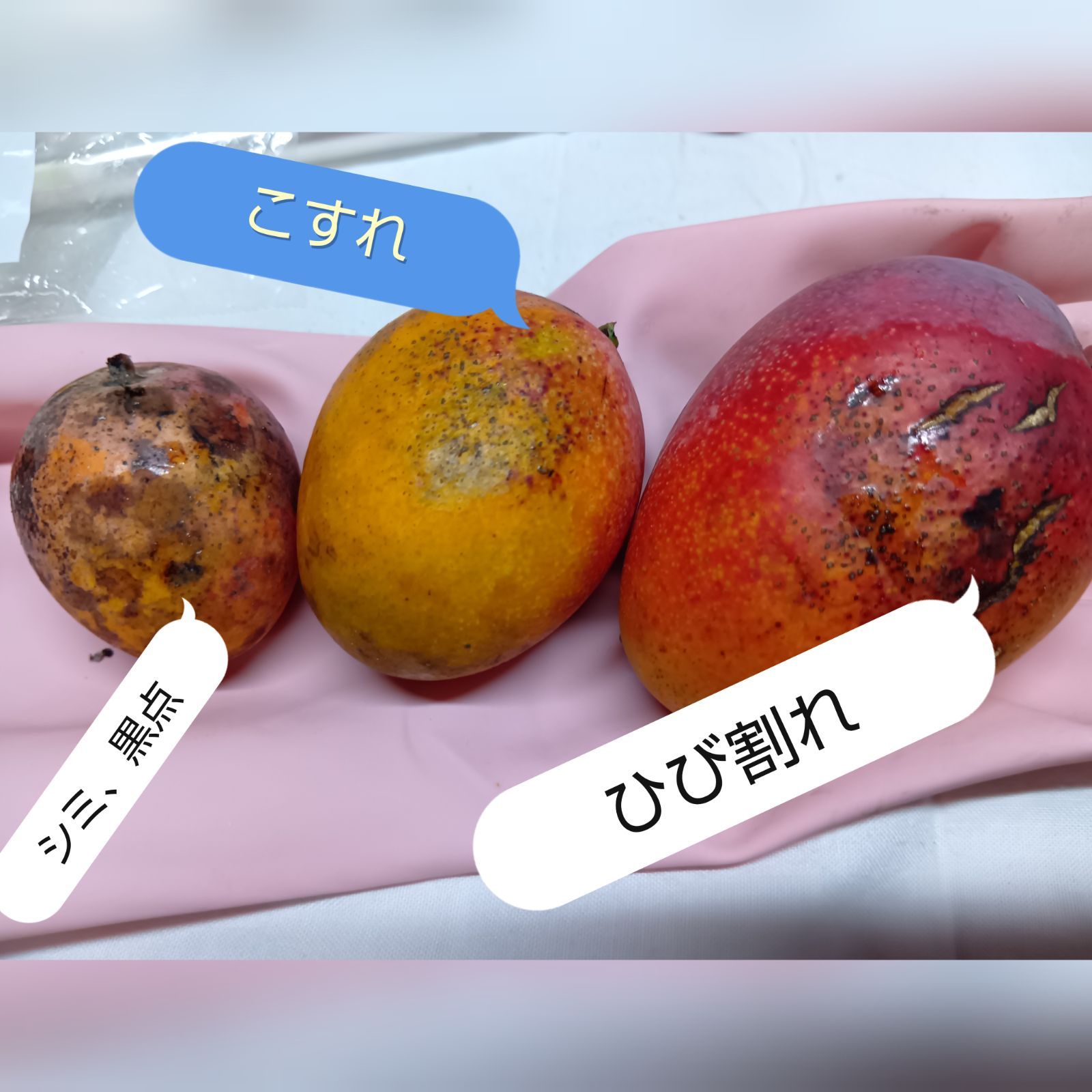 訳あり　ミニマンゴー　5kg クール便 Amazon.co.jp: 宮崎マンゴー 訳あり【規格外】加工用 【完熟