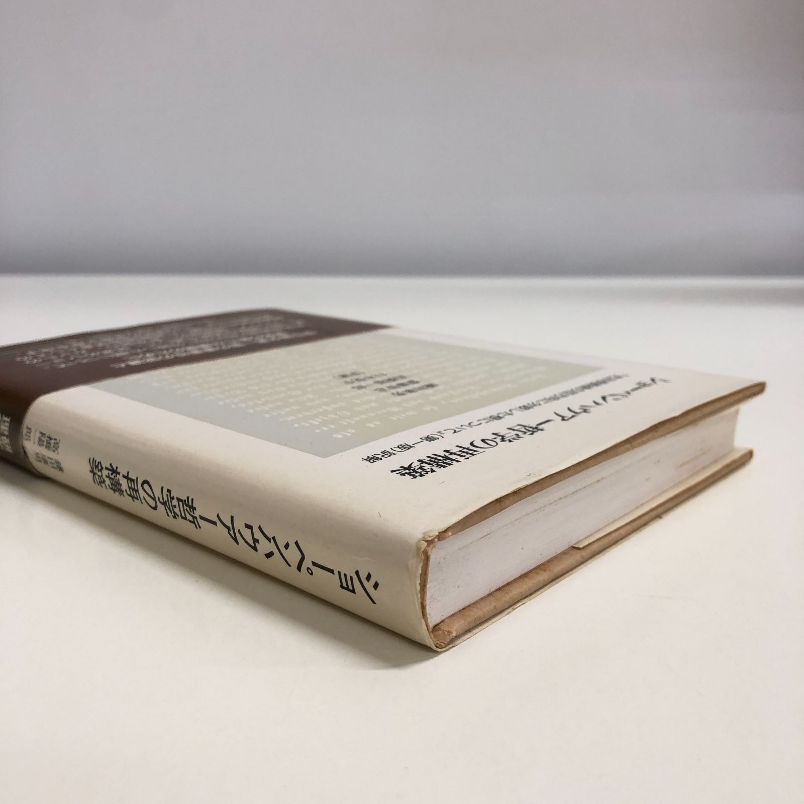 ショーペンハウアー哲学の再構築 ショーペンハウアー哲学の再構築