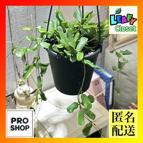 ファッション小物 けいおん！ HO-KAGO TEA TIME 二つ折り財布 ウォレット