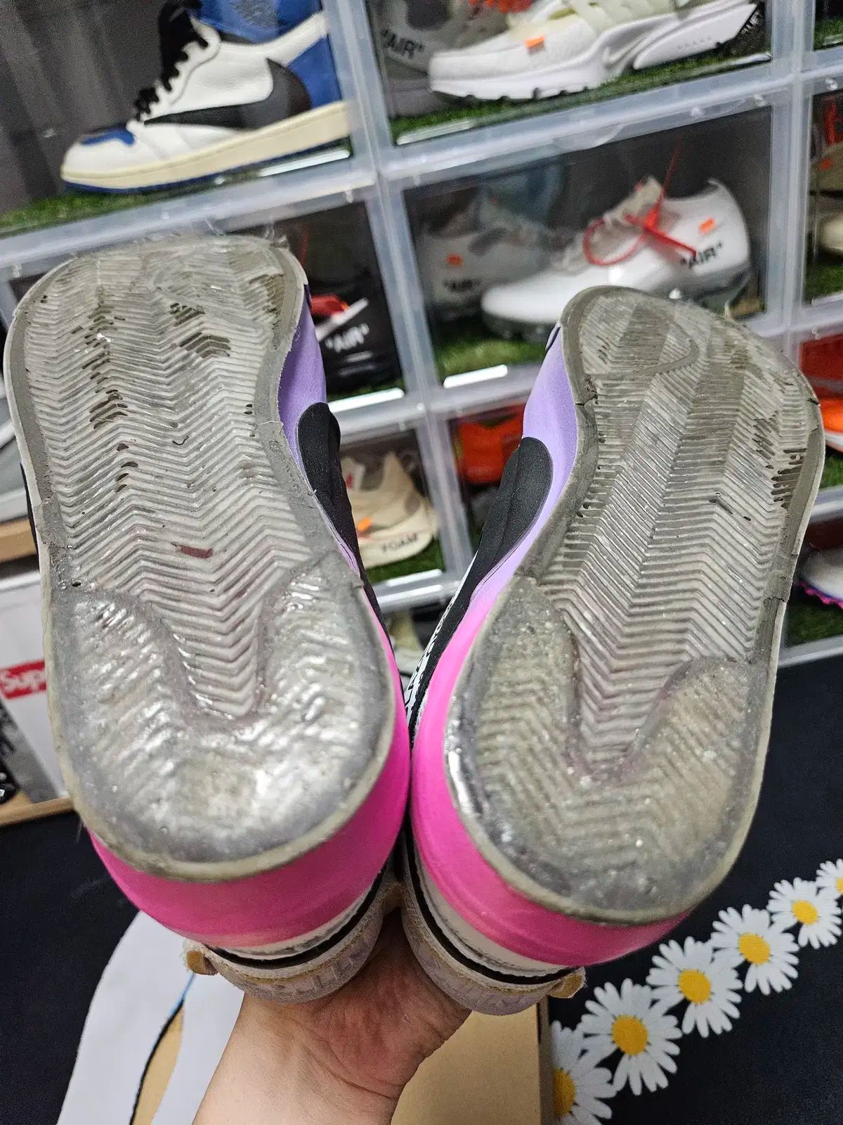 ミッド ウルフ