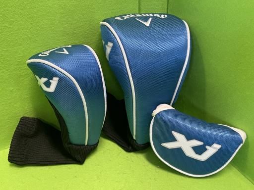 TOURSTAGE Jr ツアーステージ ジュニアゴルフセット 初心者 入門 楽天