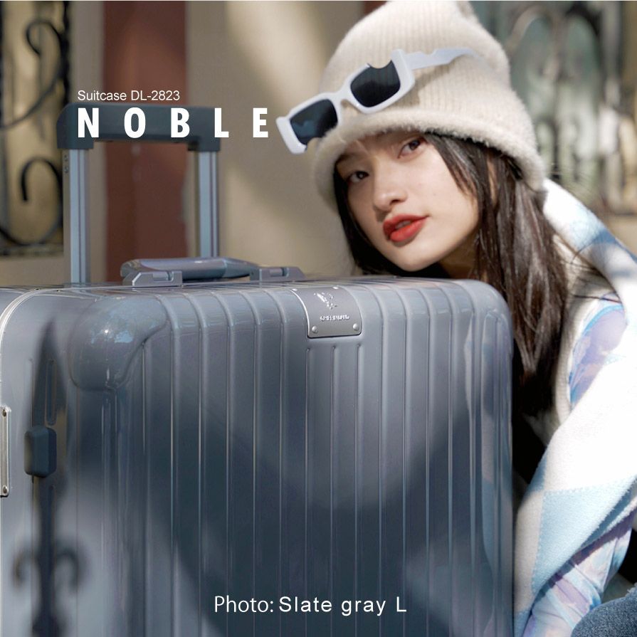 スーツケース グレー DL-2823 NOBLE Lサイズ 大きい 大型 海外 工具
