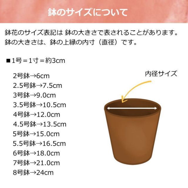 プレゼント 結婚祝い