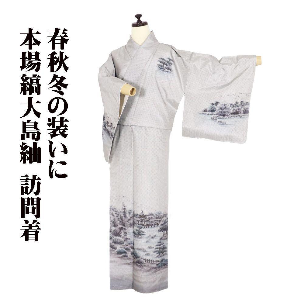 縞大島紬 訪問着 袷 正絹 薄グレー 手描き 平安神宮 13号 Mサイズ ki31117