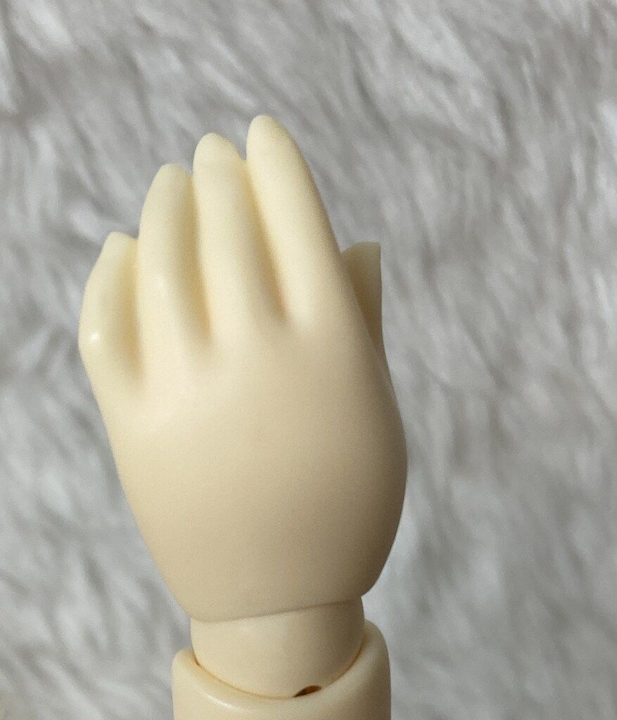 ボディのみ 二重肘関節