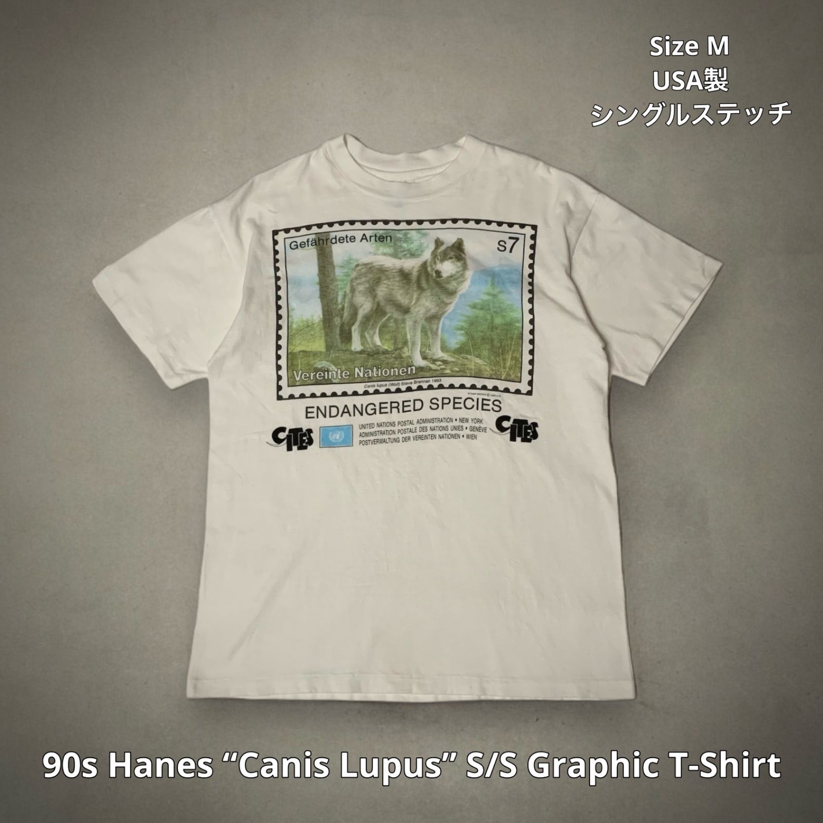 90's HANES ニューファンドランド 犬Tee USA製 XL 90s USA製 Newfoundland Dog ニューファンドランド ドッグ