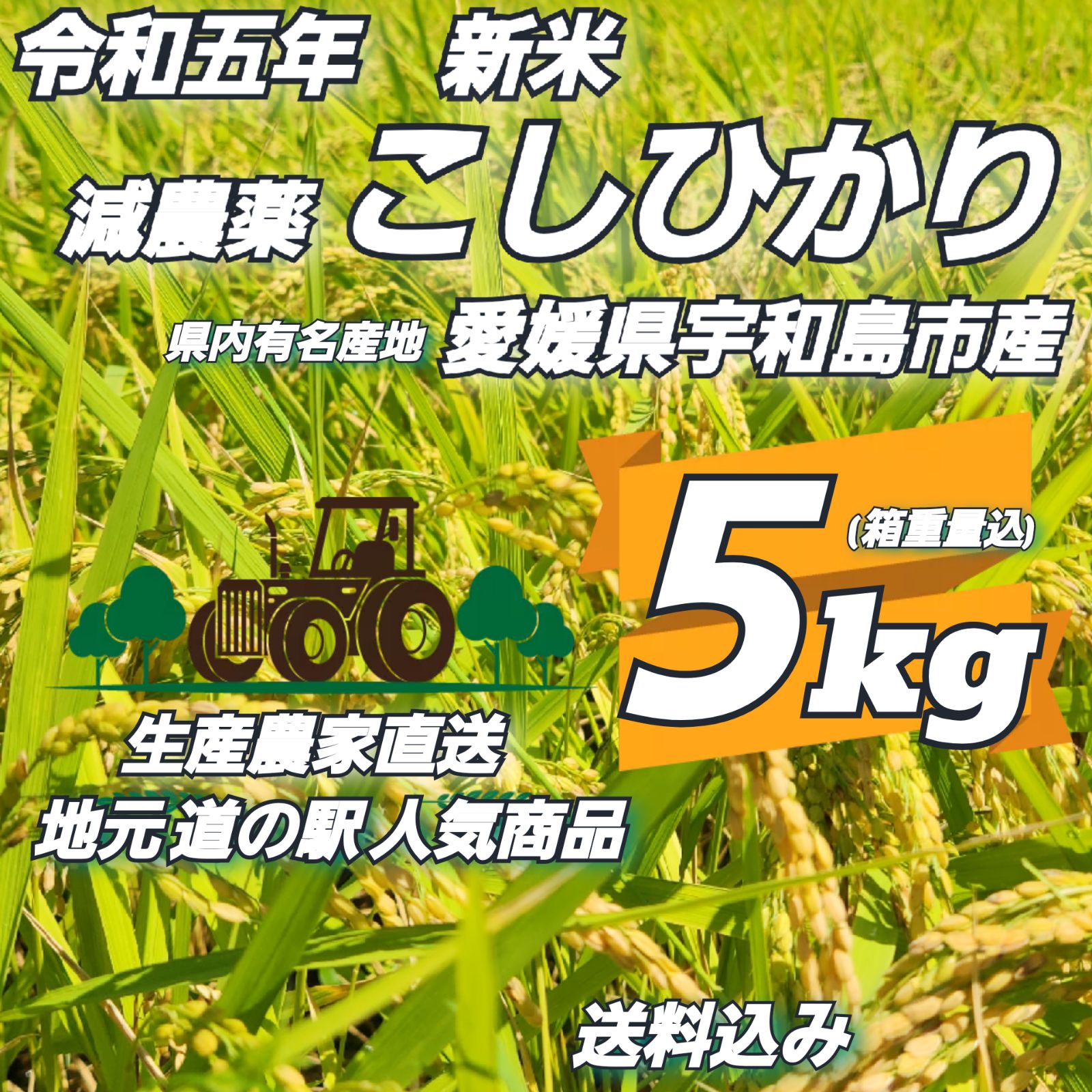 メルカリ　減農薬　新米　5kg　FARM　生産農家直送　AKIHO　令和5年　こしひかり