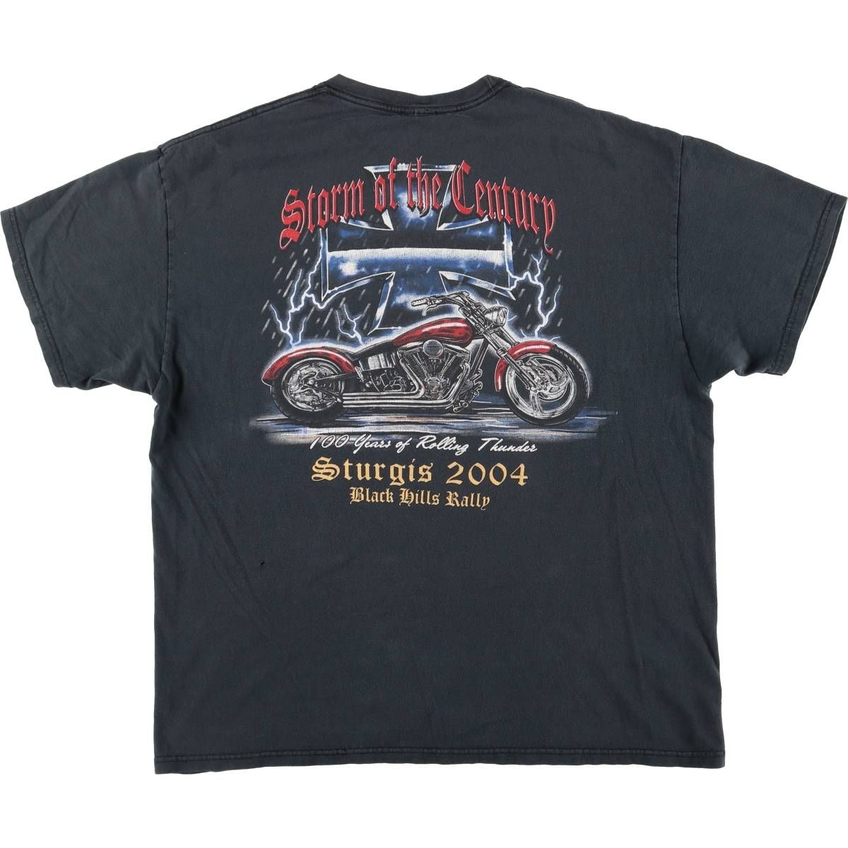 VINTAGE STURGIS Hanes USA製 Tシャツ M 古着 00年代 ヘインズ Hanes STURGIS BLACK HILLS RALLY バック