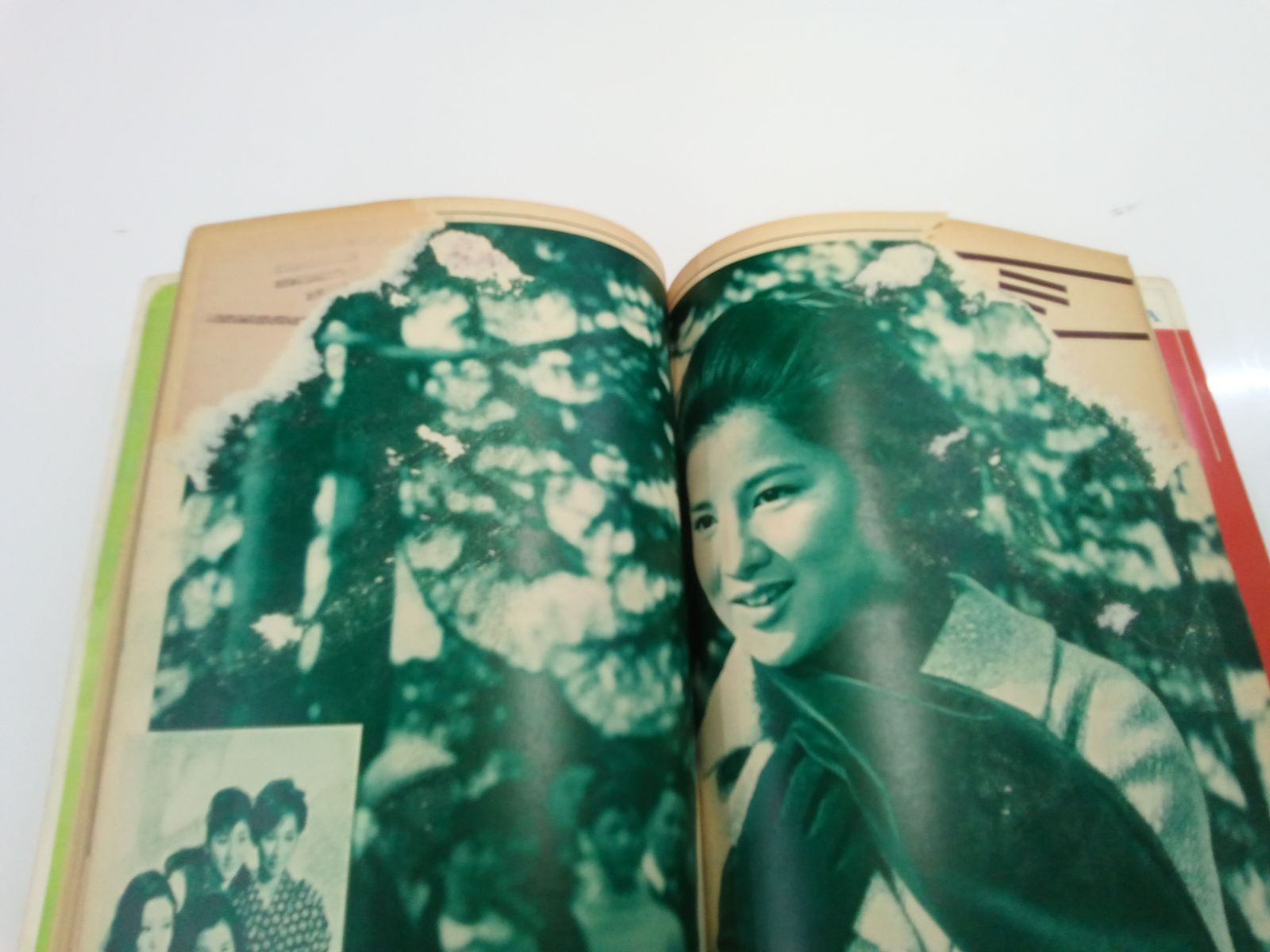 雑誌】別冊 近代映画'65 3月号臨時増刊《吉永小百合集》 - メルカリ