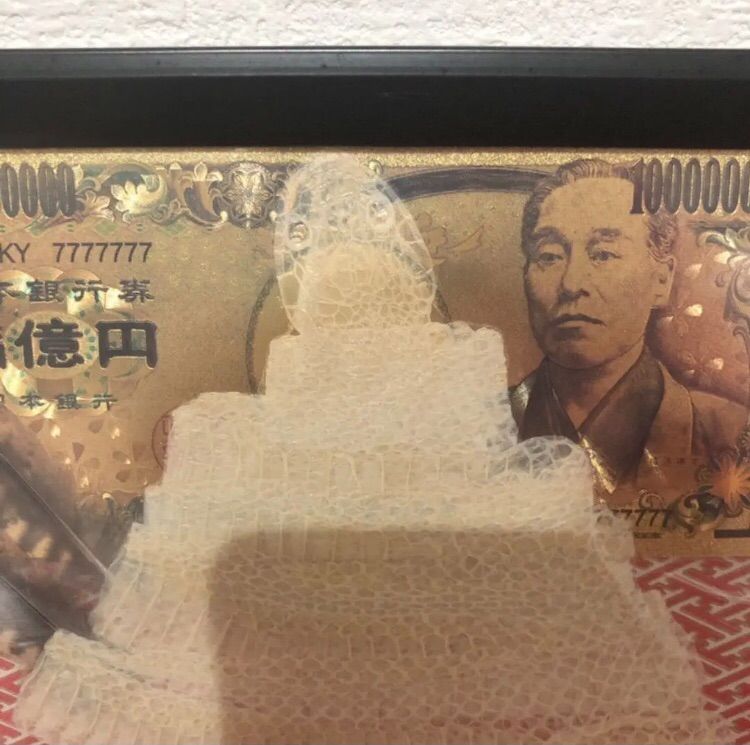 プロフ更新様専用]A5サイズ 家内安全 金運 健康 お守り 白蛇様の全身