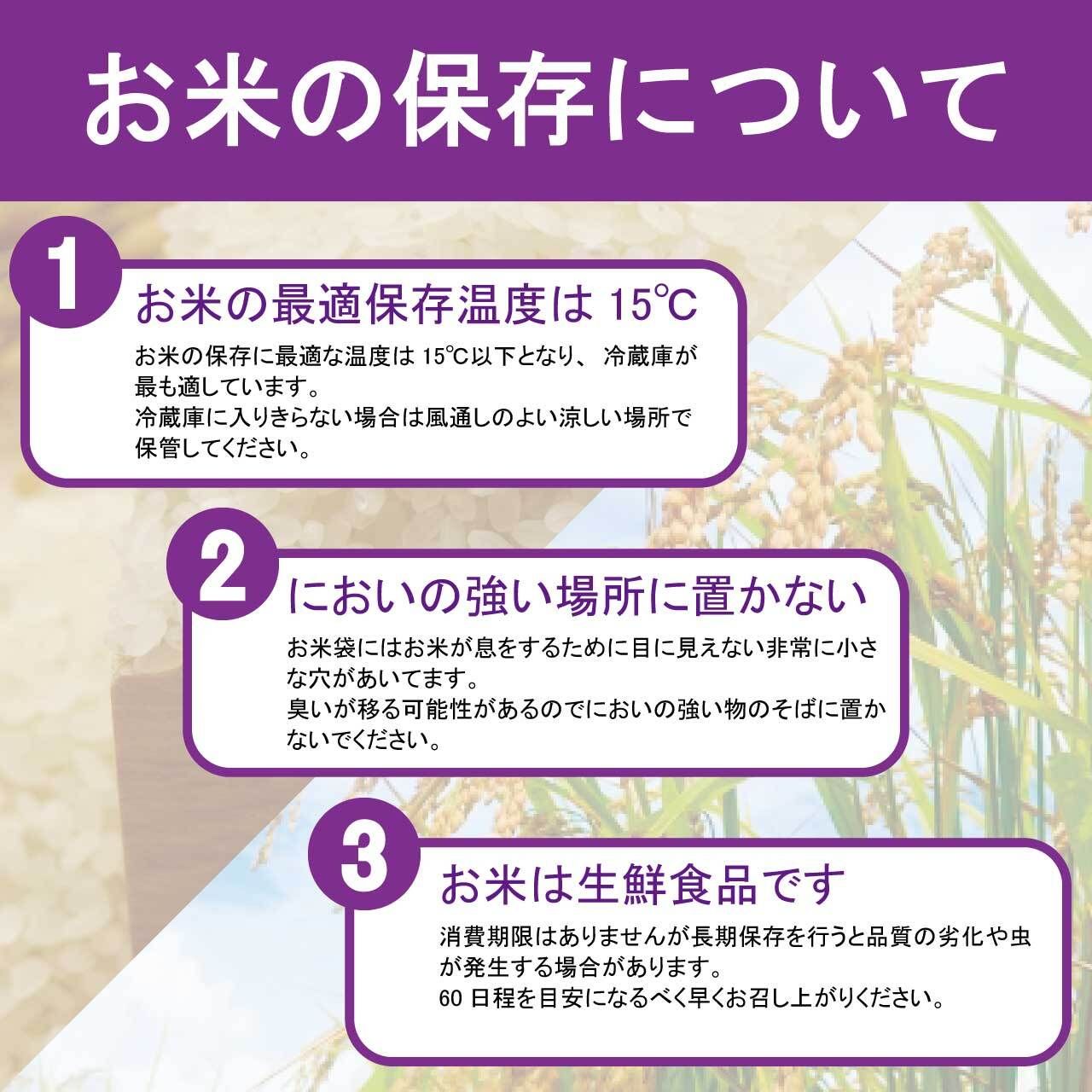 無洗米 石川県産こしひかり 10kg 石川産 石川 コシヒカリ 能登 産地 