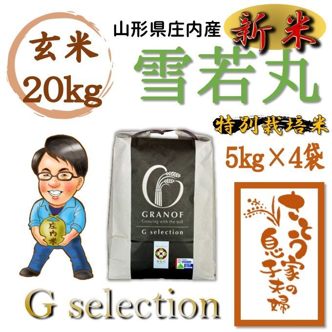 真作/松村景文/枝栗/紅柿図/桐題箱付/布袋屋掛軸HI-242 販売済み 2026