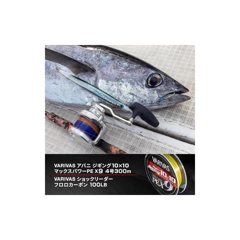 マックスパワーPE X