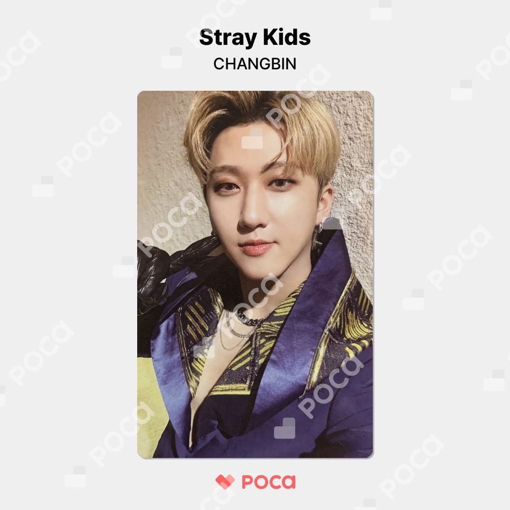 Stray Kids Changbin チャンビン スキズ トレカ 9枚 チャンビン straykids スキズ 公式トレカ 5枚セット 匿名配送