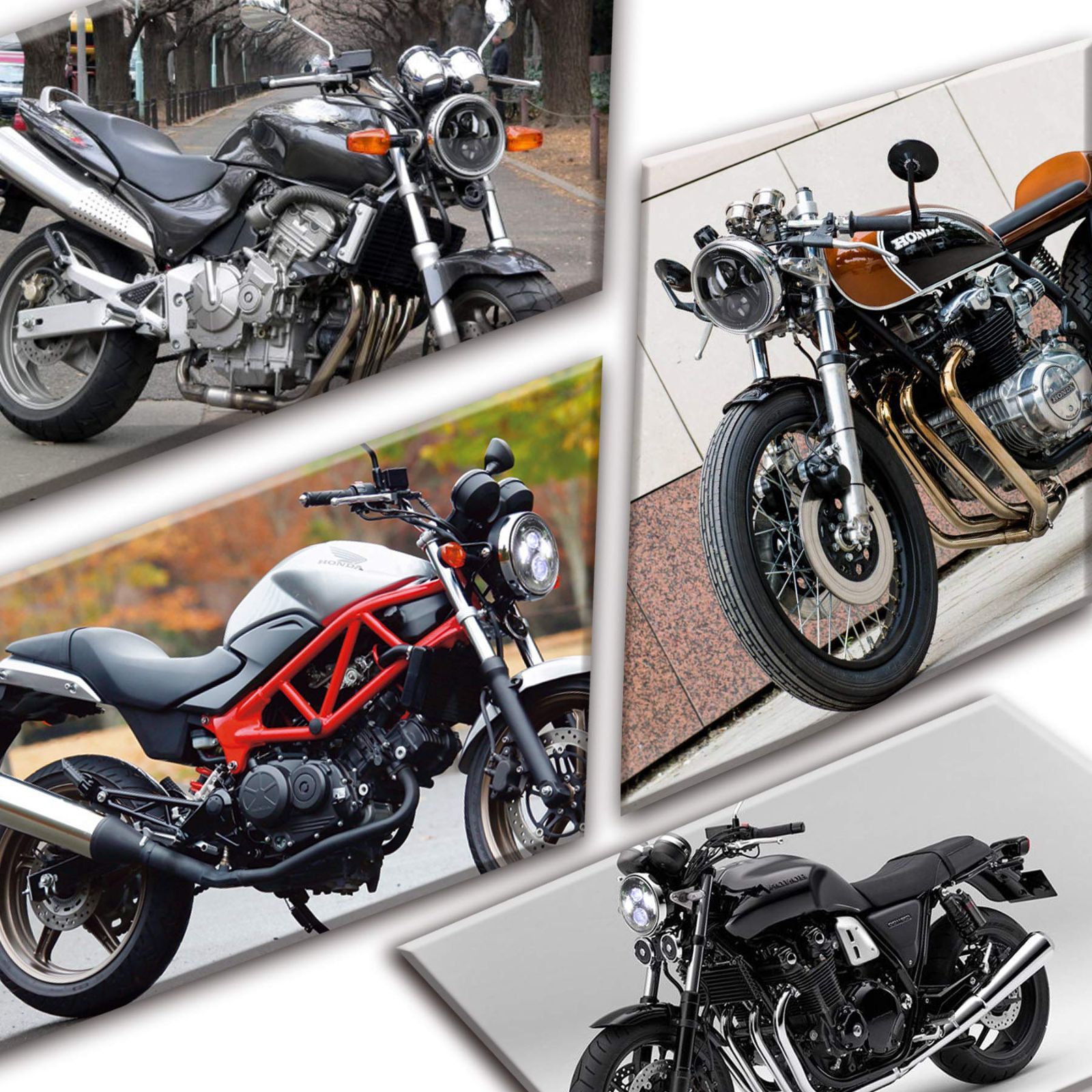 ブラック MOVOTOR