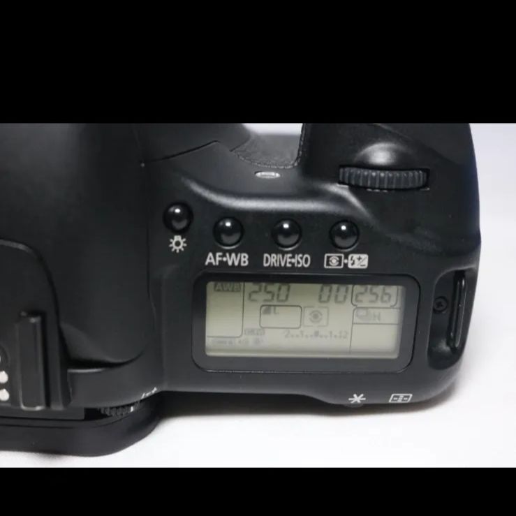 軽量＆堅牢性 Canon EOS 30D⭐ハイアマ一眼レフ⭐高速連写 軽量＆堅牢性 Canon EOS 30D ハイアマ一眼レフ 高速連写 キャノン 3250万