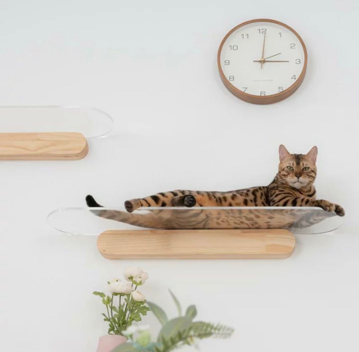 MYZOO マイズー OBLONG オブロング キャットステップ クリア 壁面アート ねこステップ 猫家具 壁取り付け おしゃれ コンパクト デザイン ペットグッズ ペット用品 猫用品 ネコグッズ 全猫種 全年齢対応 インテリア 90cm