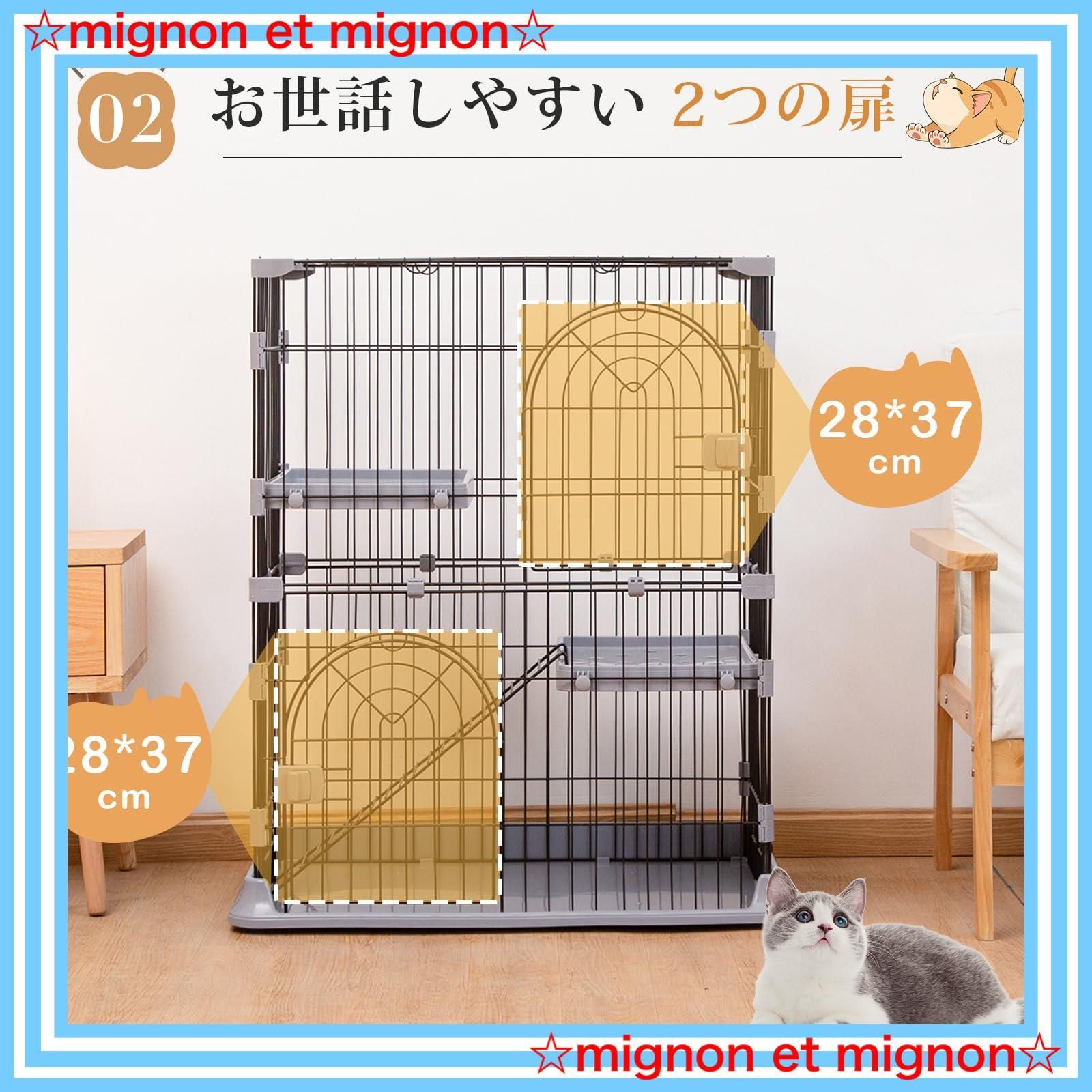 猫 PETTOM
