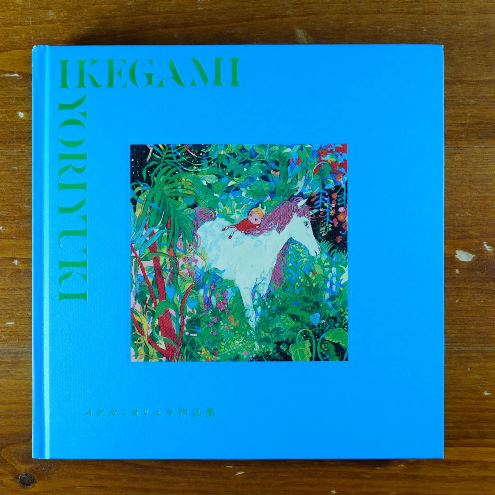 イケガミヨリユキPETALS Yoriyuki Ikegami 作品集、カード Amazon.com: Yoriyuki Ikegami Artworks / イケガミヨリユキ作品集