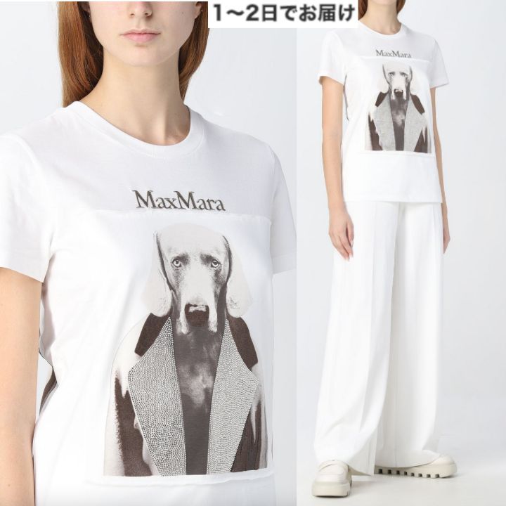 新品【MAX MARA】 ピュア コットン ジャージー TシャツXS - ワールド