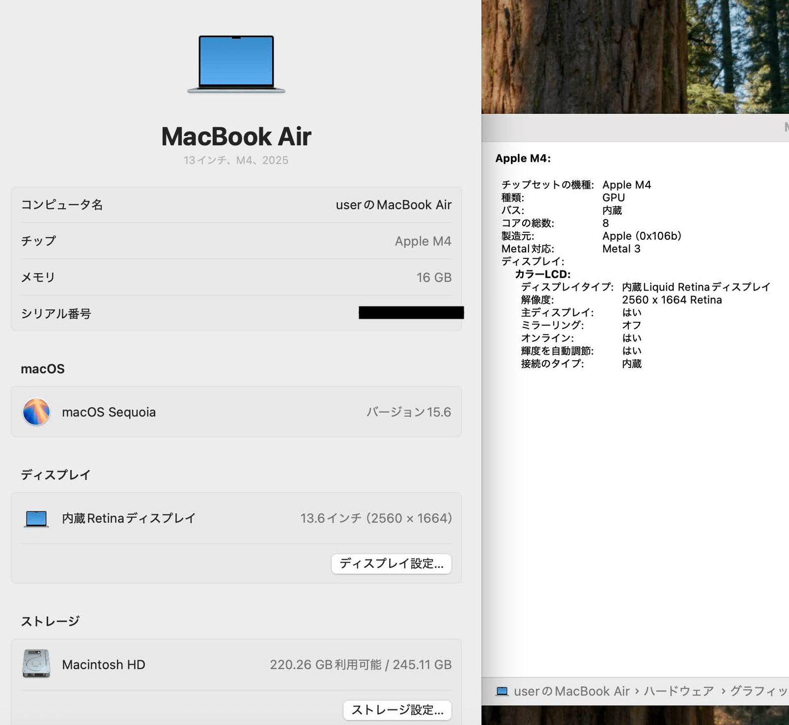 美品 Apple MacBook Air 13インチ M4 2025 MC6T4J/A M4 16GB