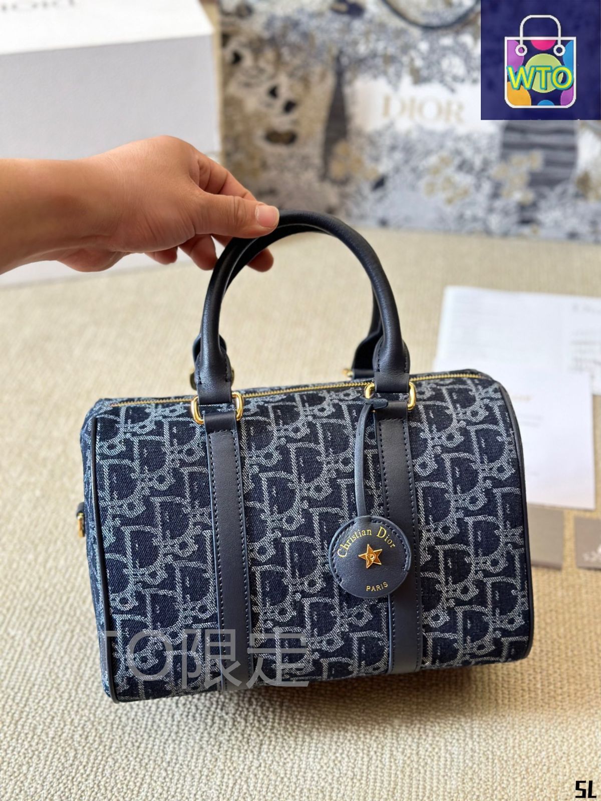 Dior枕バッグ ハンドバッグ リュック 小銭入れ 手首バッグ ショルダーバッグ