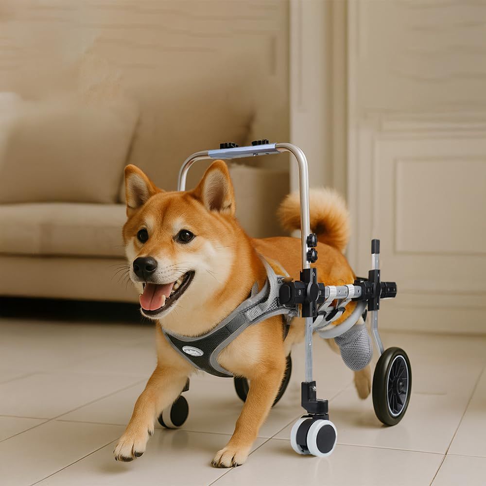 犬用車椅子 四輪 軽量 安定設計 歩行補助 ペット リハビリ 介護 中型犬 大型犬 怪我 老犬 散歩 サポート ハーネス付き 四輪 M