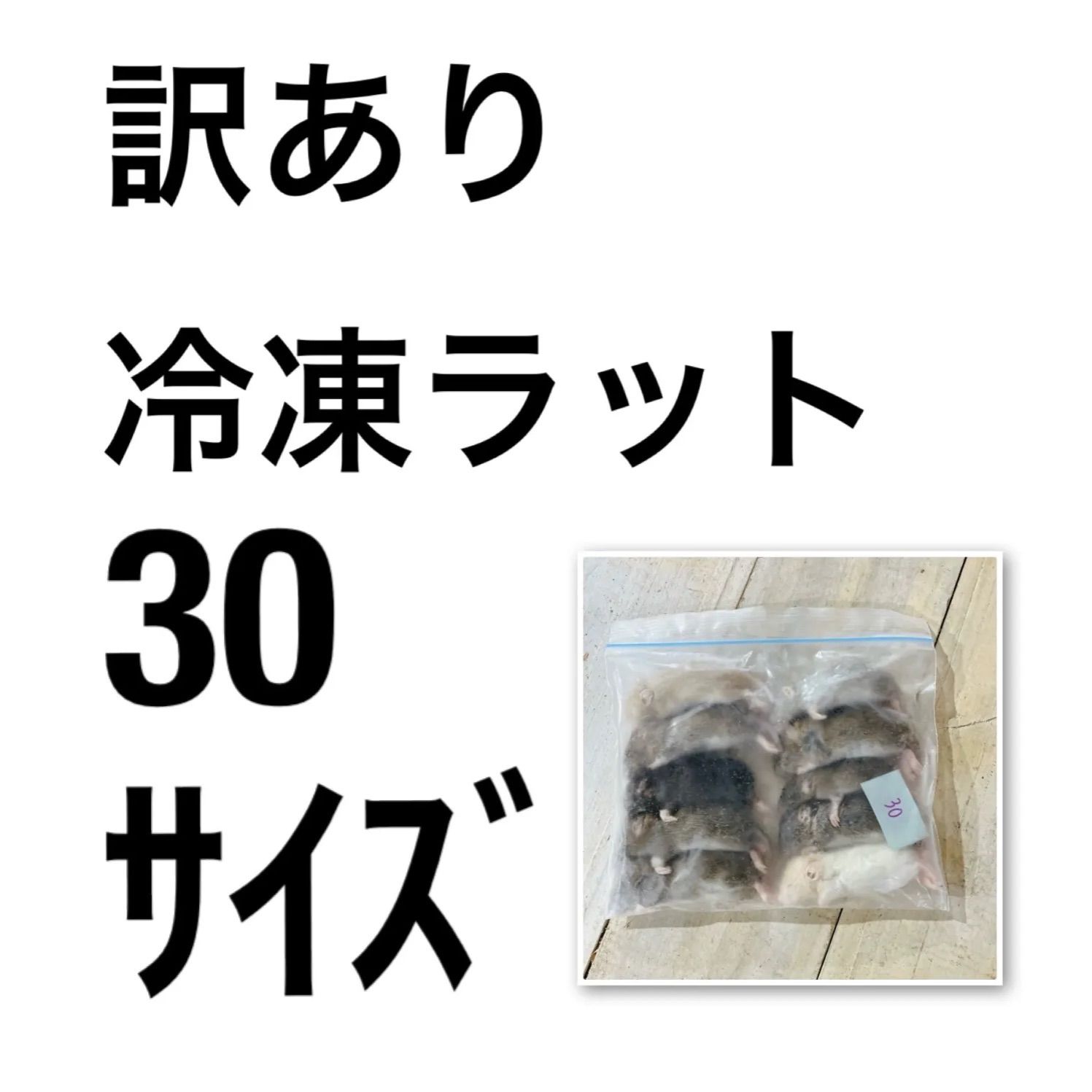 冷凍ラット 100匹 30ｻｲｽﾞ