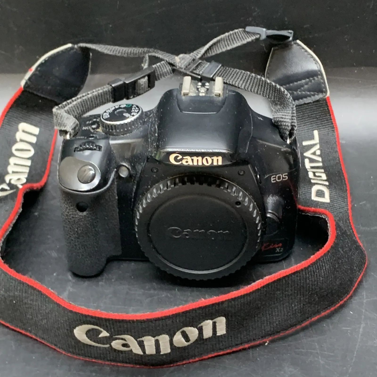 2025年最新】canon ds126181の人気アイテム - メルカリ