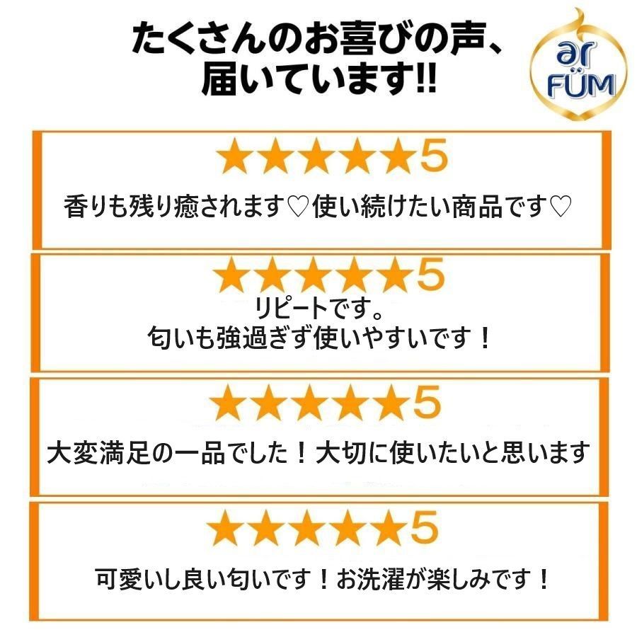本体大ボトルセット