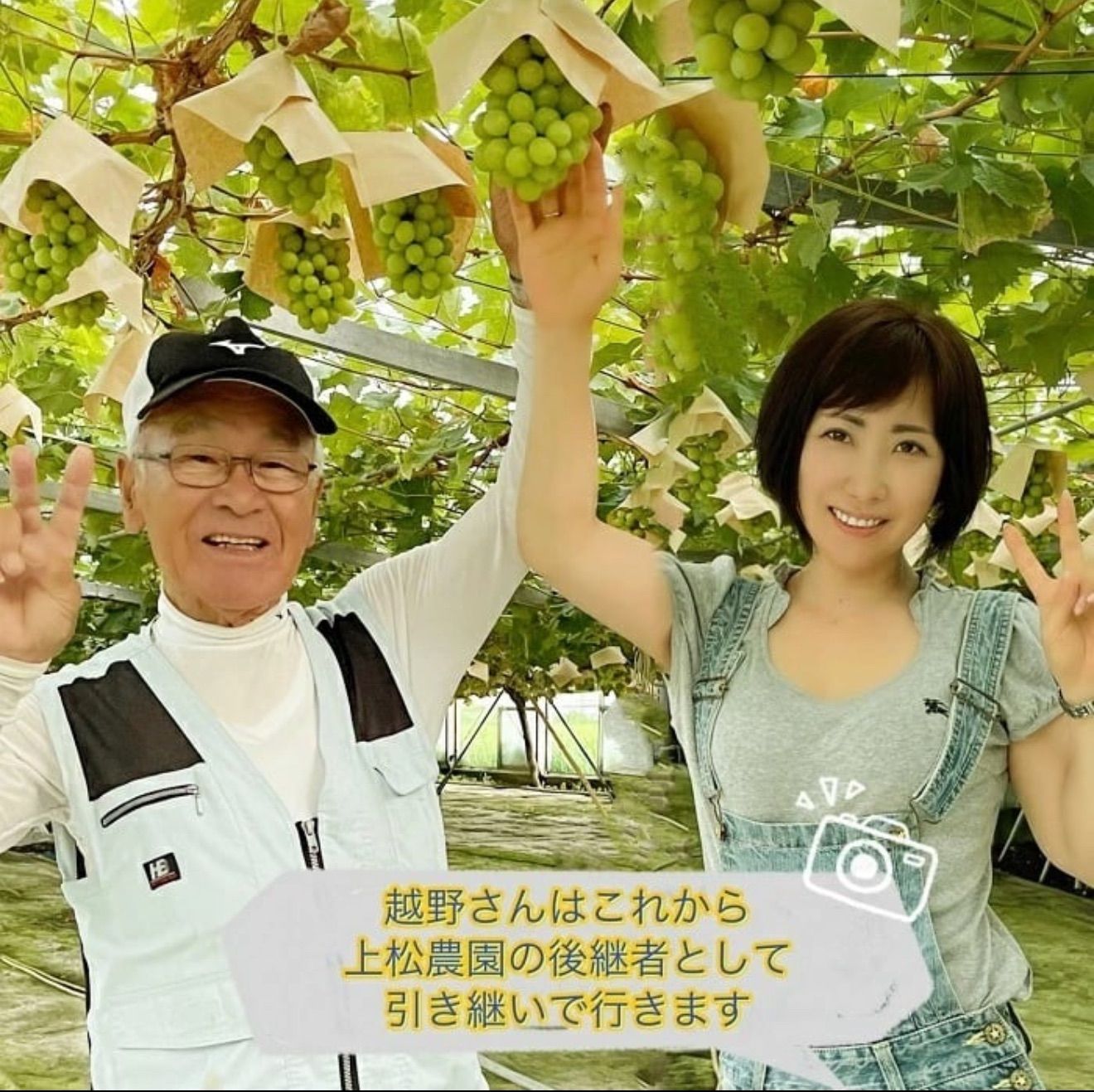 岡山シャインマスカ農薬不使用2kg超大粒贈答用プレミアム贅沢な甘さパリッと食感 岡山シャインマスカ農薬不使用2kg超大粒贈答用プレミアム贅沢な甘さ