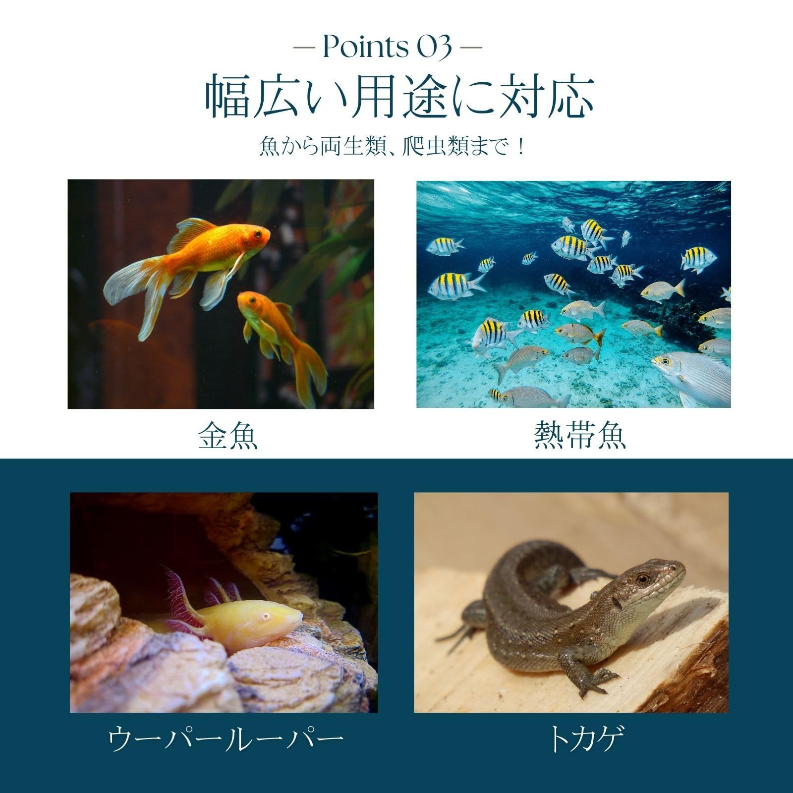 Manipulation of Extremity 中川真雄 Manipulation of Extremity 中川真雄（Manipulation of
