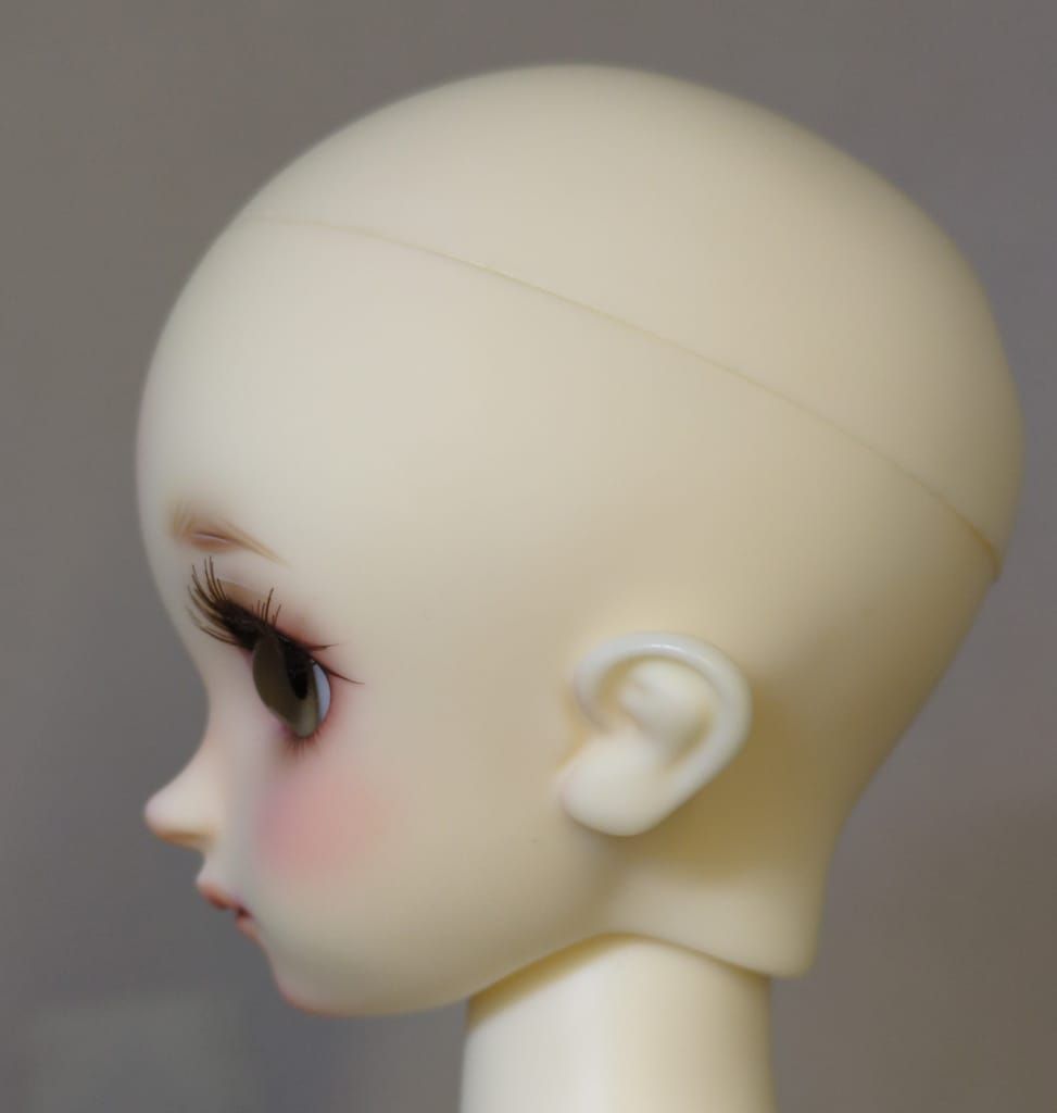 SDM女の子 コーディネートモデル