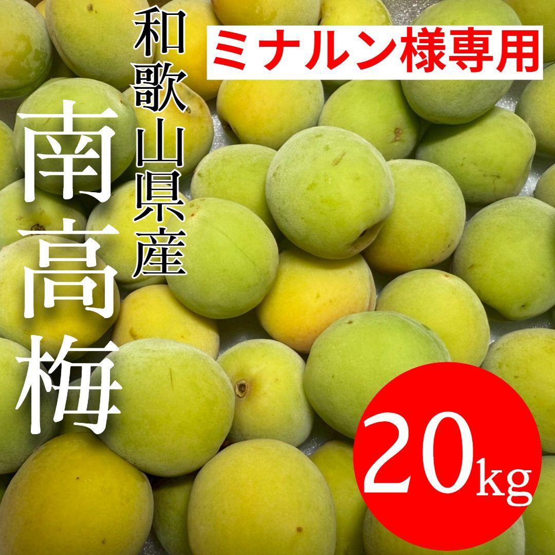 青梅 紀州南高梅 20キロ 【公式通販】