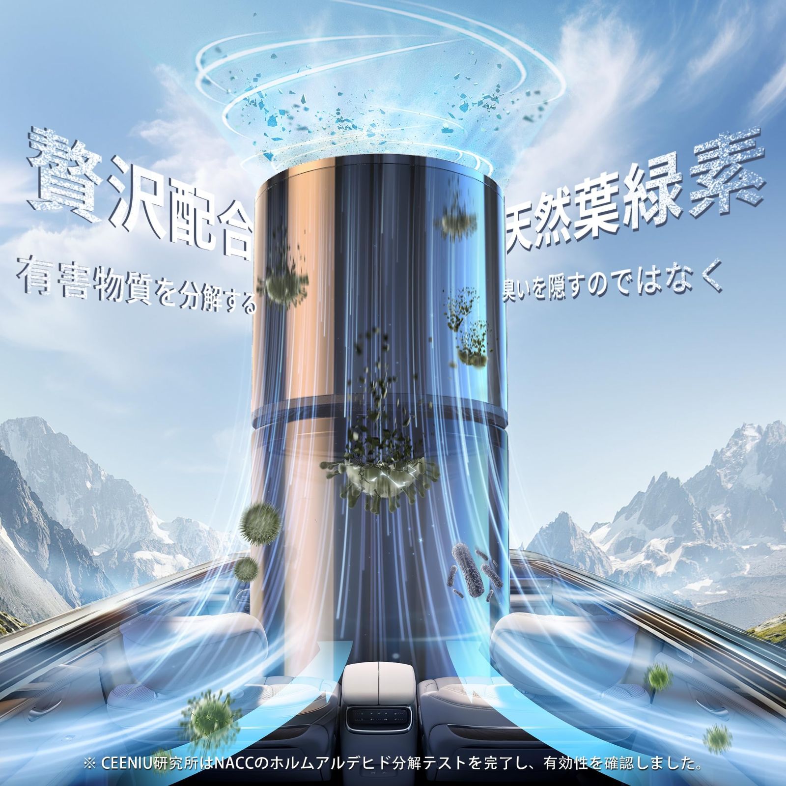 約6ヶ月分