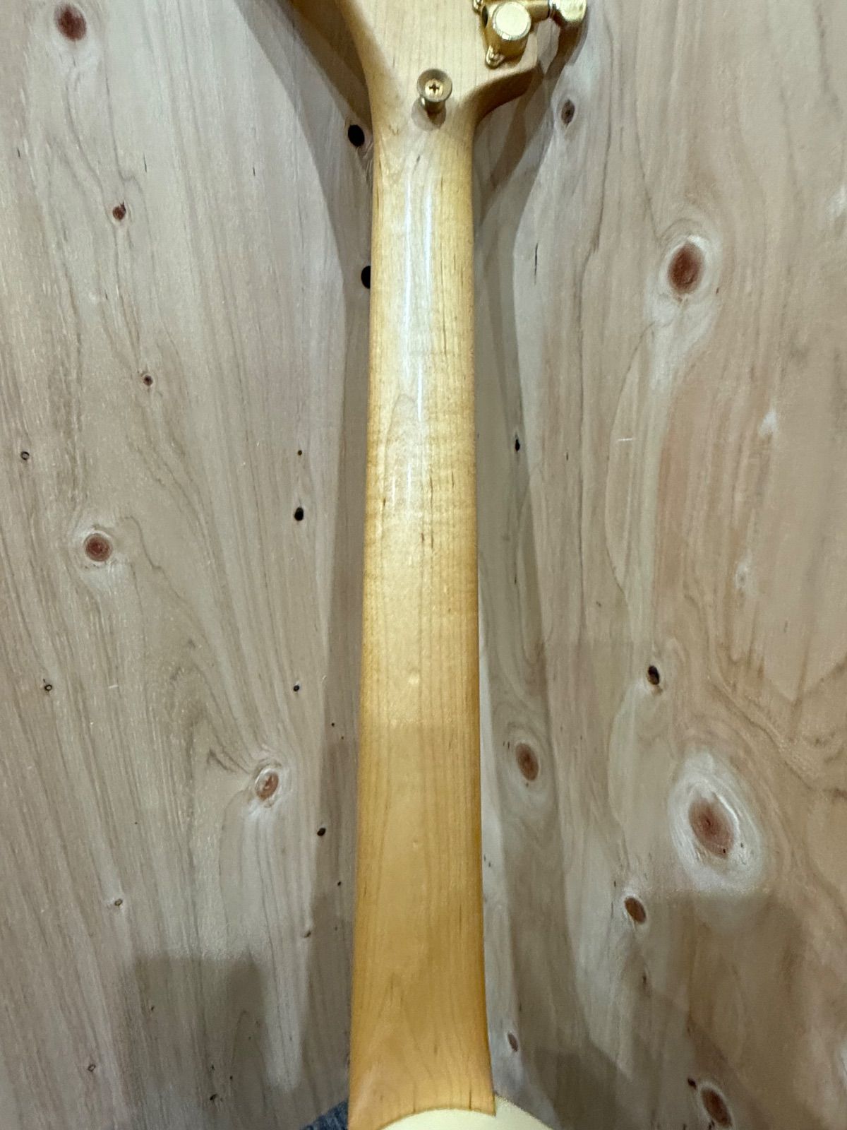 FERNANDES フェルナンデス