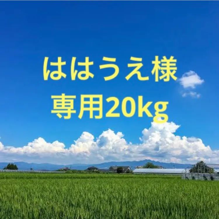 ︎ 星野 さま 専用 ︎ ☆ 星野さま 専用 ☆ 星野様 専用