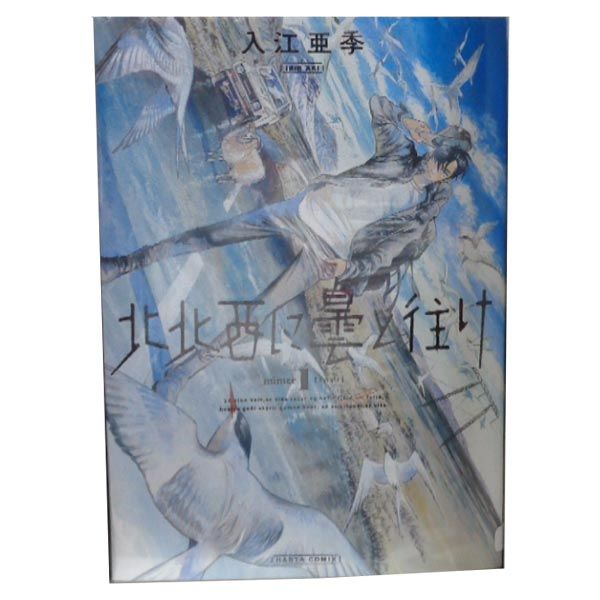 Amazon.co.jp: 北北西に曇と往け 7 (青騎士コミックス) : 入江