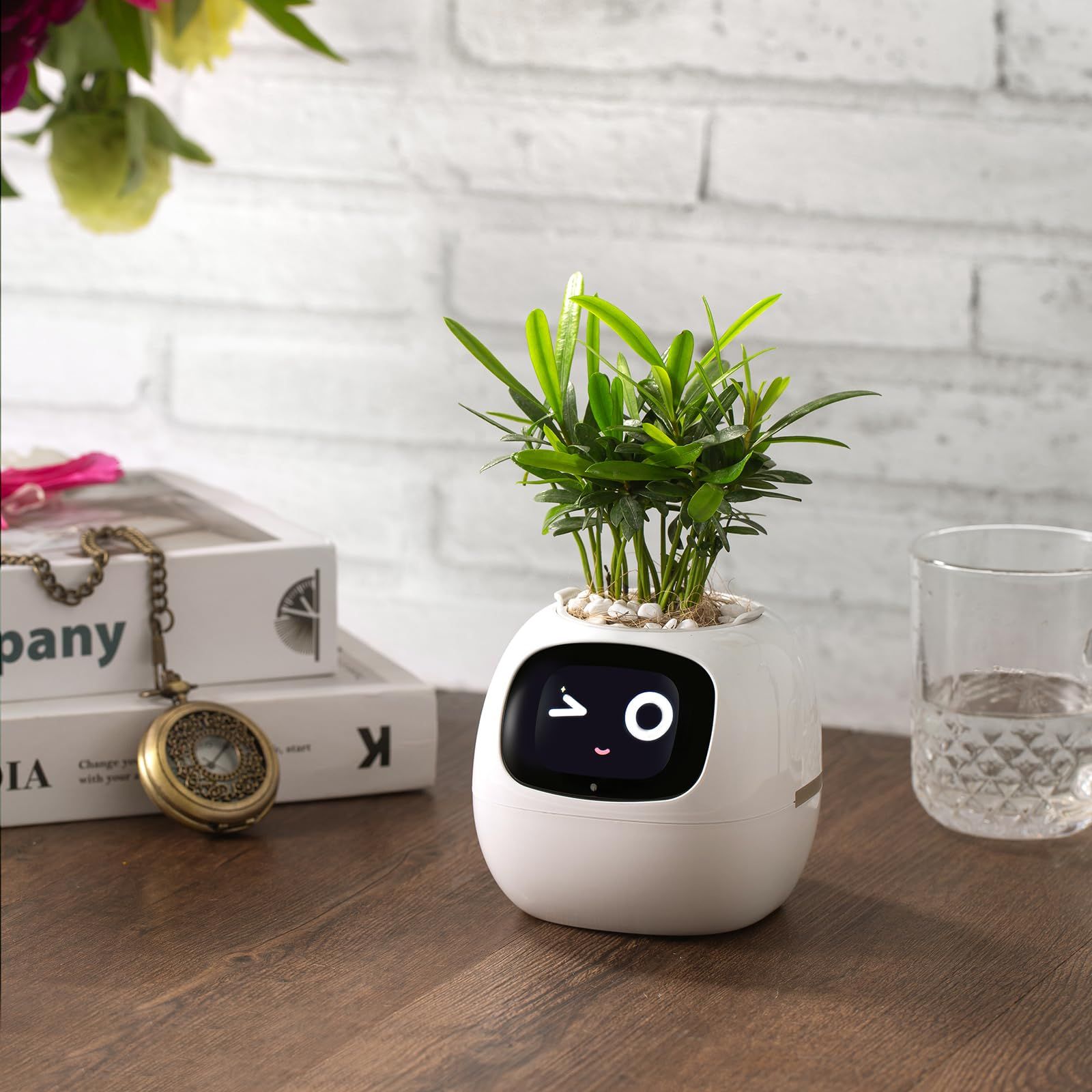 スマートペットプランター PLANTSIO