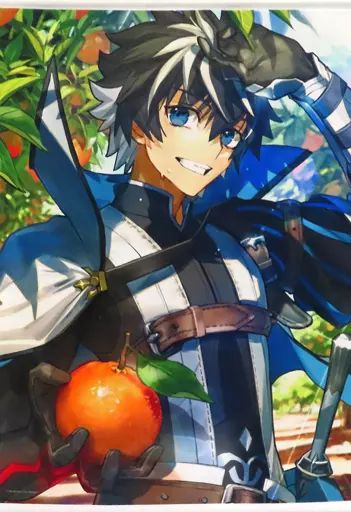 FGO 5周年 ニトクリス 鳥取県 鳥取砂丘 B2 タペストリー【FGO 手芸