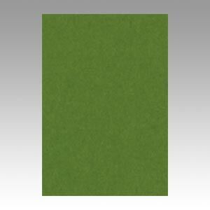 (まとめ) 色画用紙 文運堂 ニューカラーR オリーブ 8NCR-316 4954022683160 1冊【×10セット】