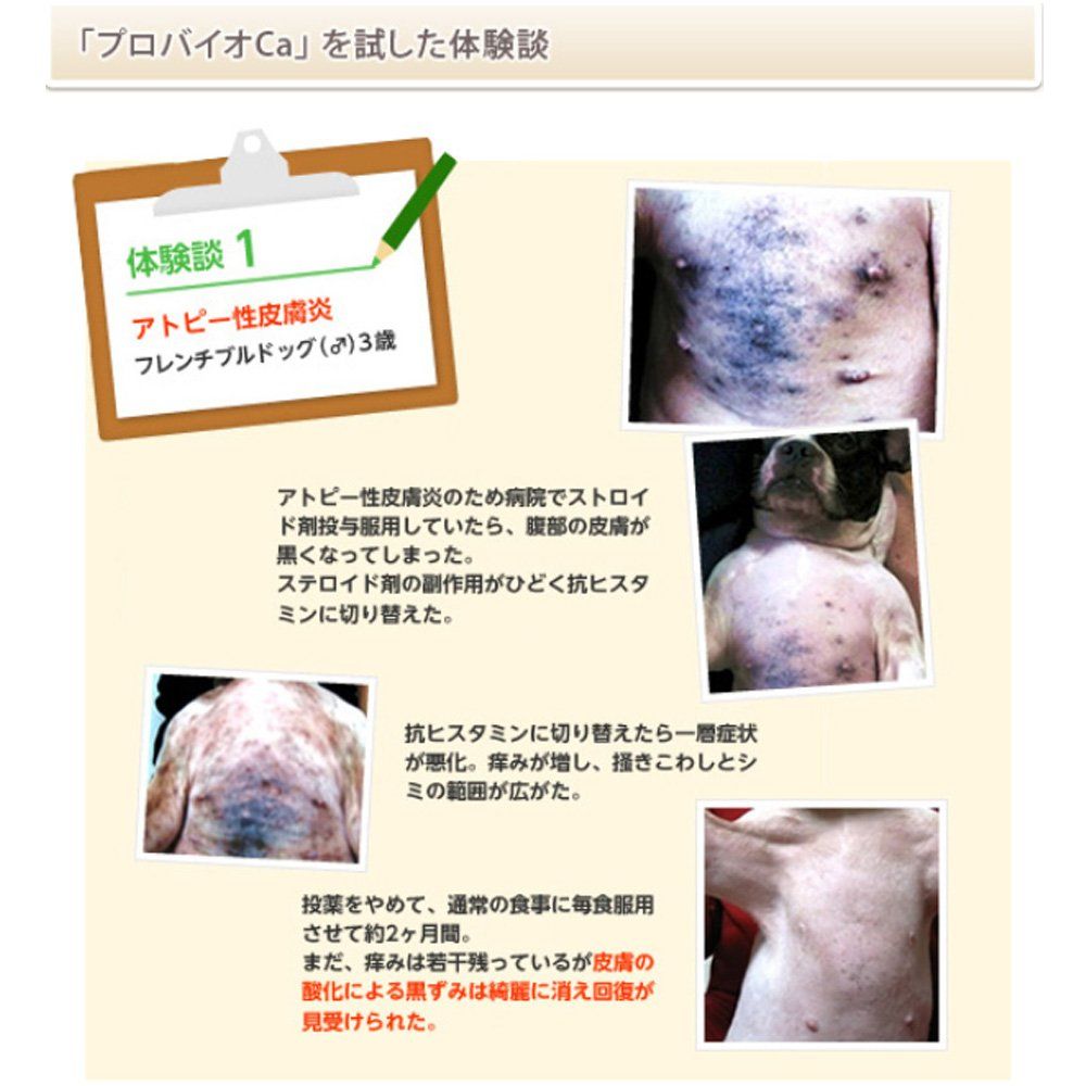 30包入り×2個セット