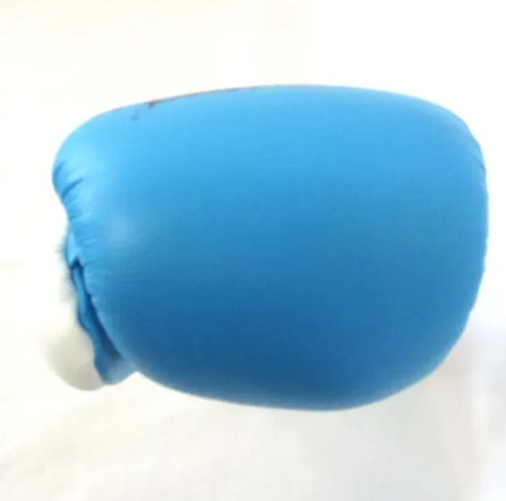 マニー・パッキャオ サイン付きボクシンググローブ 青色 左のみ