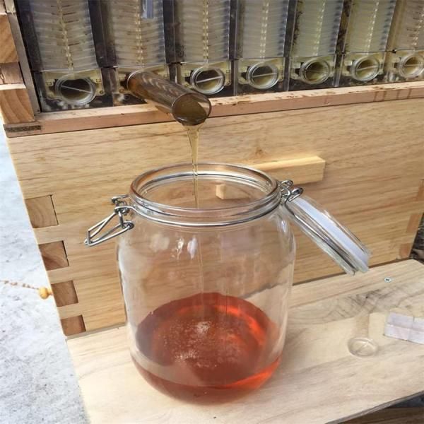 オートフローハニーハイブビーハイブフレームキット養蜂家のために