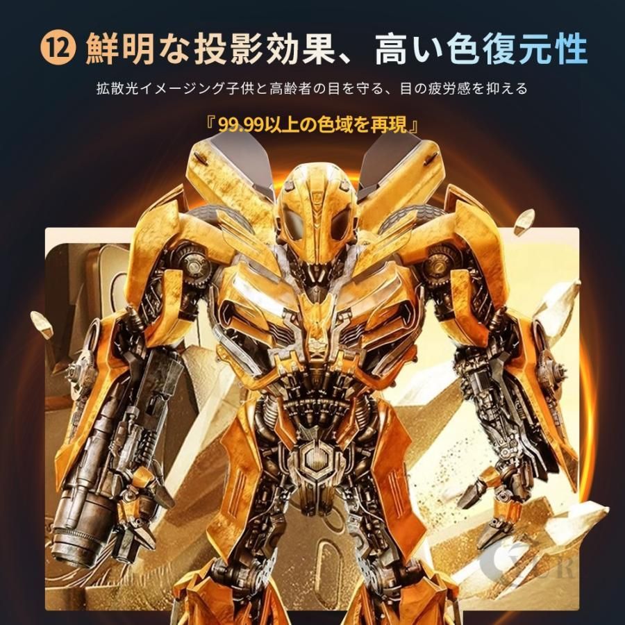 本体 家庭用